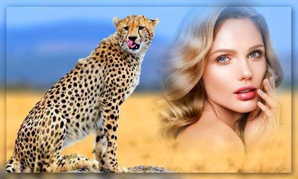 Wild Animal Photo Frames screenshot 4