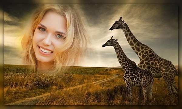 Wild Animal Photo Frames screenshot 2