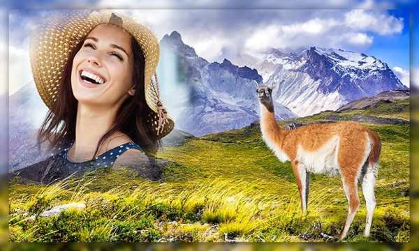 Wild Animal Photo Frames screenshot 5