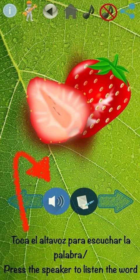 Super English Flashcards screenshot 5