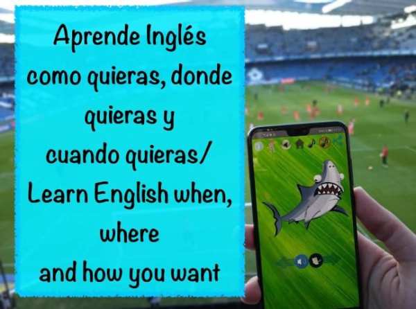 Super English Flashcards screenshot 1