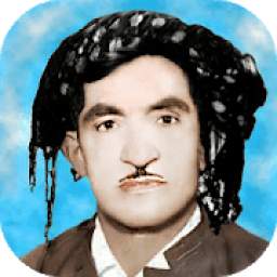 حسن زیرک 1.0