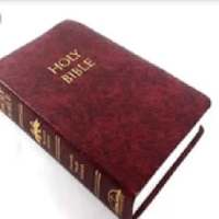 Bible-New King James Bible(Simple English)