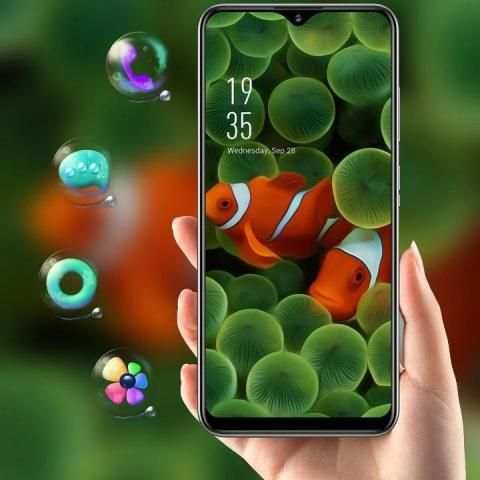 Colorful cute clownfish in the water grass theme screenshot 4