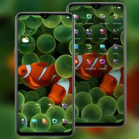 Colorful cute clownfish in the water grass theme screenshot 3