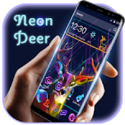 ikon Neon colorful collections