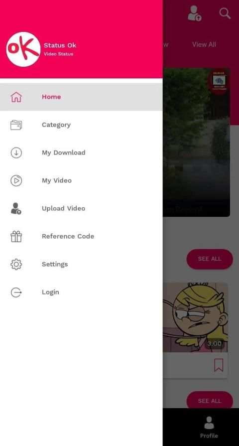 OK STATUS - VIDEO STATUS screenshot 1