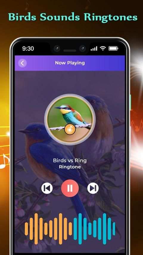 Birds Sounds Ringtones screenshot 1