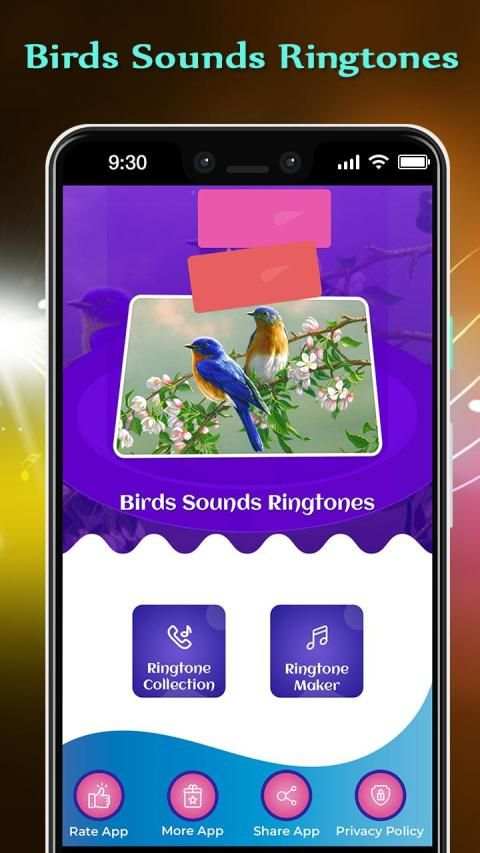 Birds Sounds Ringtones screenshot 6