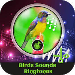 Birds Sounds Ringtones आइकन