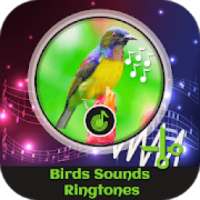 Birds Sounds Ringtones