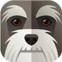 Test - ¿Qué animal eres?