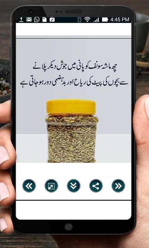 Hakeemi Nuskhe Book in Urdu скриншот 2