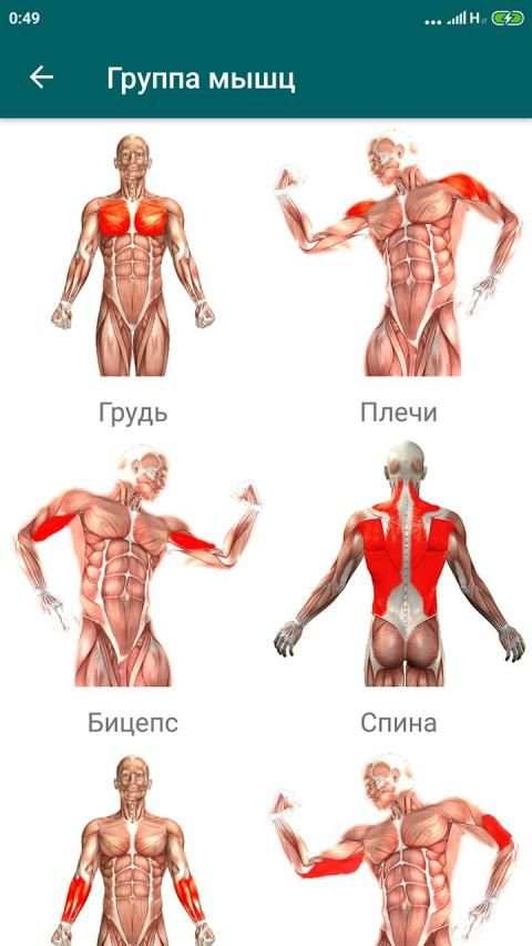 Gym notes - Дневник тренировок & Sport tracker स्क्रीनशॉट 5