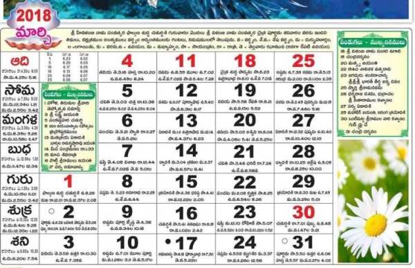 Telugu Calendar 2018 screenshot 1