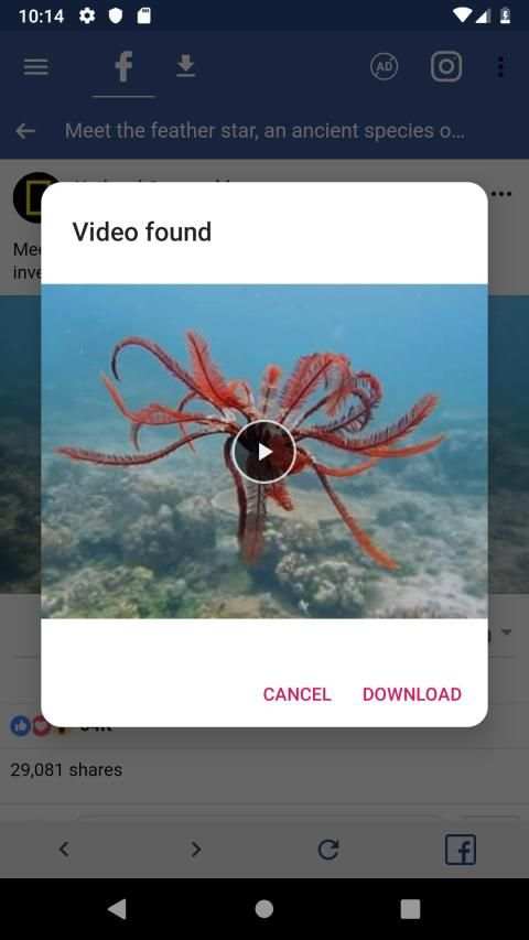 Video Downloader for Facebook - Lighting Version screenshot 3