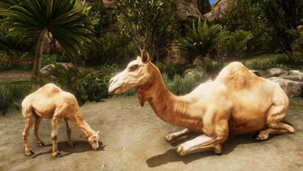 Ultimate Camel Simulator screenshot 4