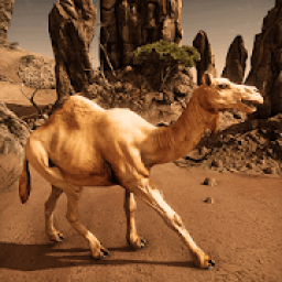 Ultimate Camel Simulator आइकन