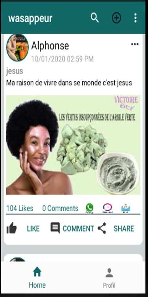 wasappeur screenshot 2