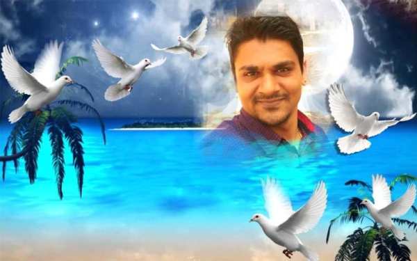 Bird Photo Frame Photo Editor screenshot 5