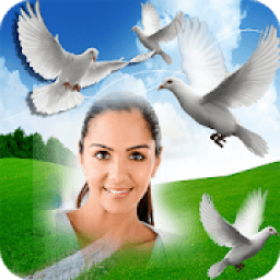 ikon Bird Photo Frame Photo Editor