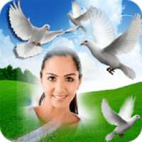 Bird Photo Frame Photo Editor on 9Apps