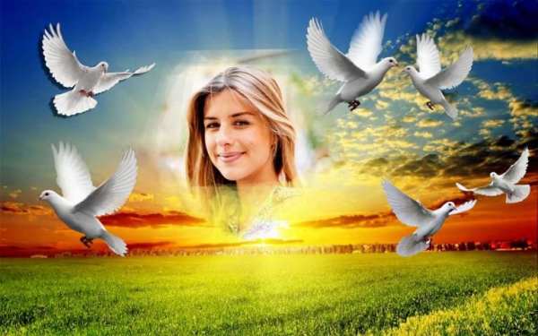 Bird Photo Frame Photo Editor screenshot 8