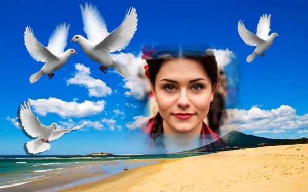Bird Photo Frame Photo Editor screenshot 3