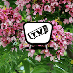 TZ101 Tiện Ích Cùng Xem icon