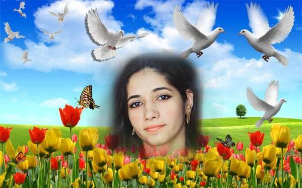 Bird Photo Frame Photo Editor screenshot 1