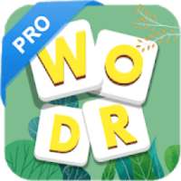 Word Master Pro