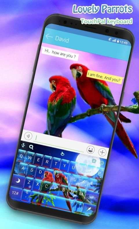 Lovely Parrots Keyboard Theme screenshot 1