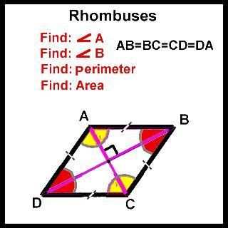 Geometry Calculator screenshot 6