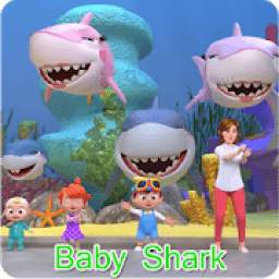 Kids~Video Baby~Shark Song