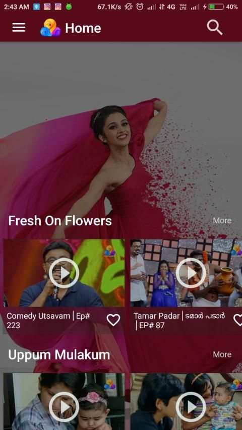 Flowers TV स्क्रीनशॉट 7