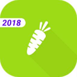 Diet 2018 - lose weight and stay healthy *