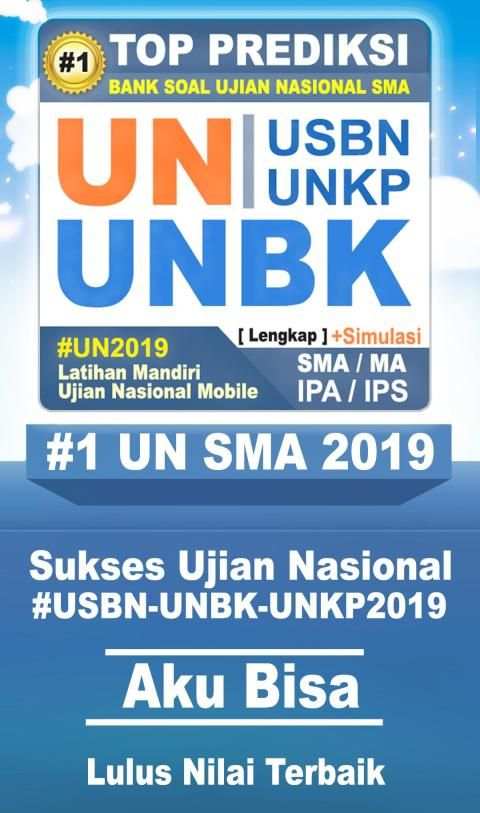 UN SMA 2019 screenshot 8