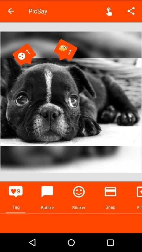 Intag - giddy photo editor 7 تصوير الشاشة