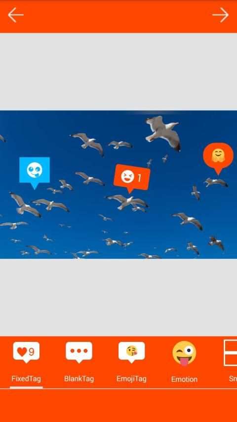 Intag - giddy photo editor screenshot 5