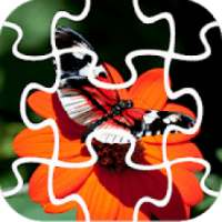 Butterfly Jigsaw Puzzle King