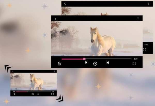 Max player screenshot 1
