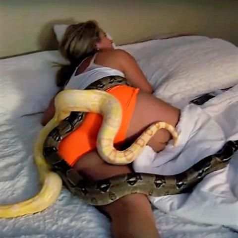FUNNY VIDEOS 2019 screenshot 2