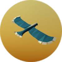 BIRD FLIGHT logo