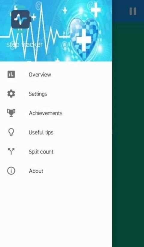 step tracker screenshot 2