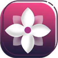 Gallery :Gallery Photos & Videos(Hide Photo-Video) on 9Apps