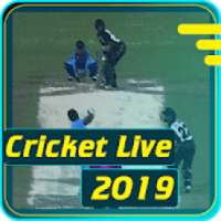Live Cricket 19 info