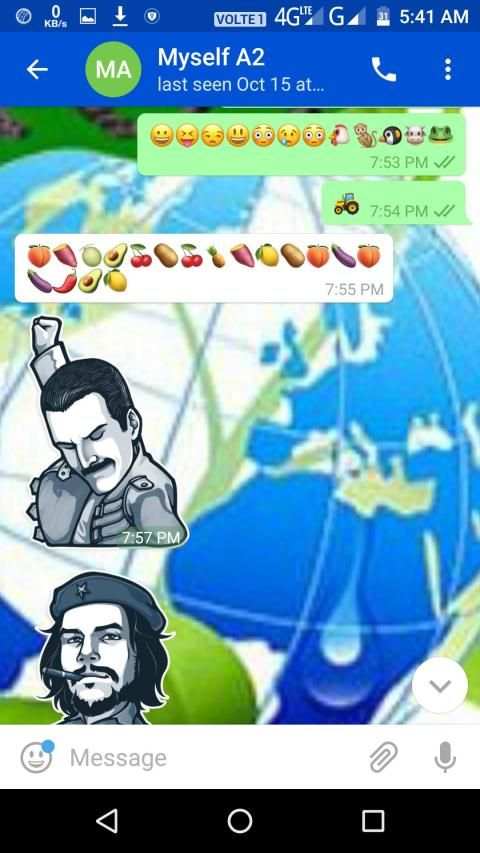 TUDIN Whatsapp screenshot 3