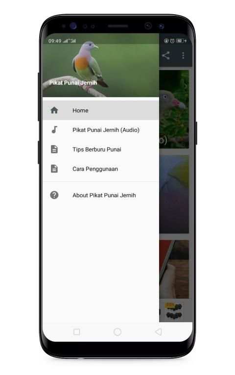 Pikat Punai Jernih screenshot 3