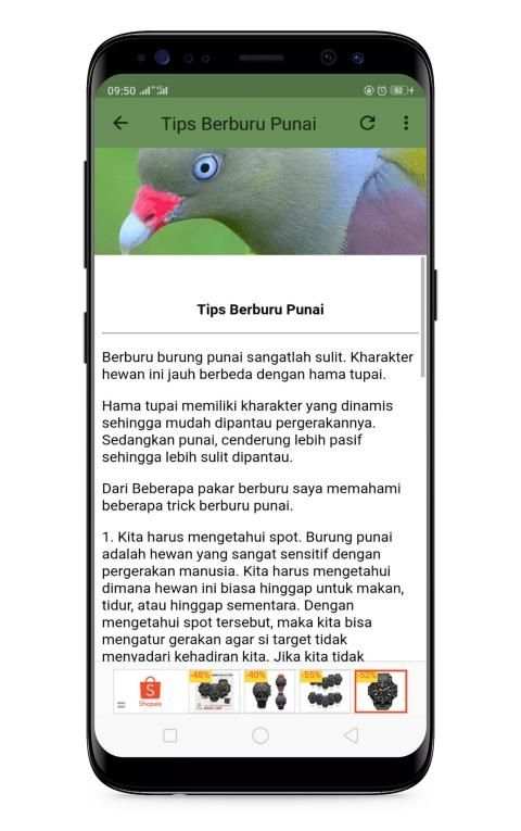 Pikat Punai Jernih screenshot 5