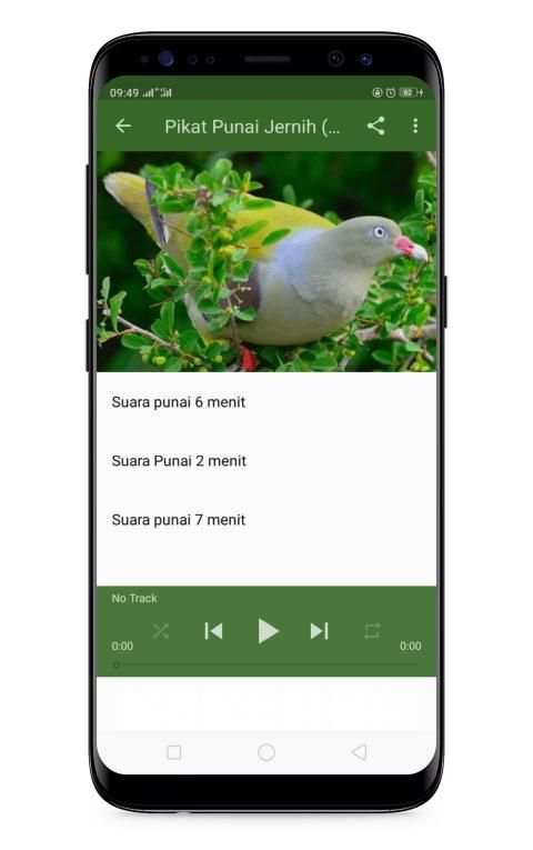 Pikat Punai Jernih screenshot 4